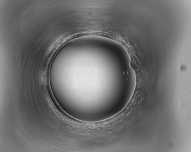 X0000091970002200709061342