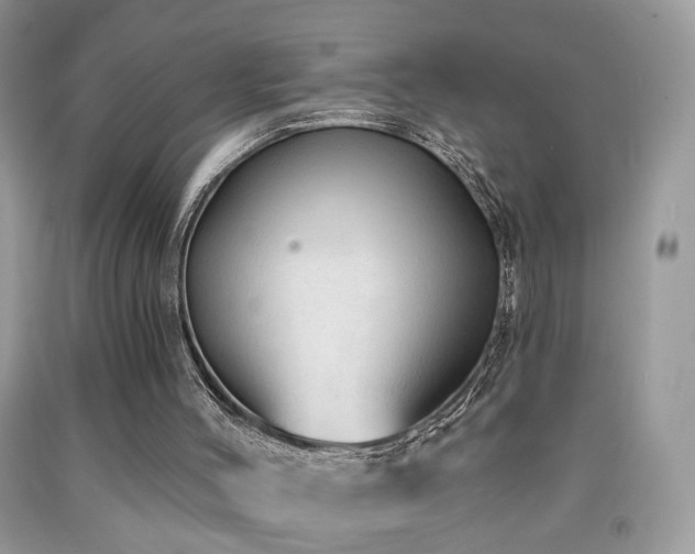 X0000091970004200709061342