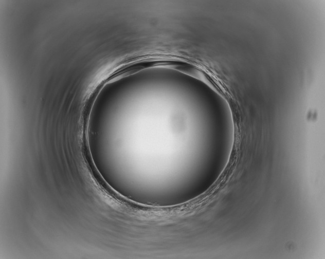X0000091970005200709061342
