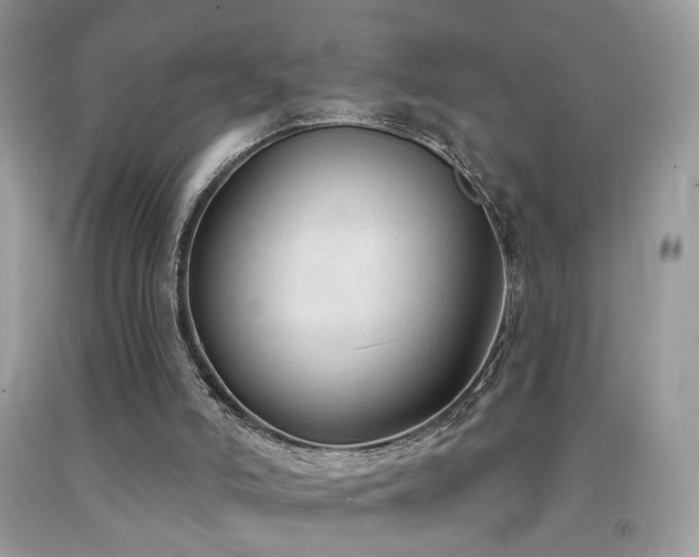 X0000091970006200709061342
