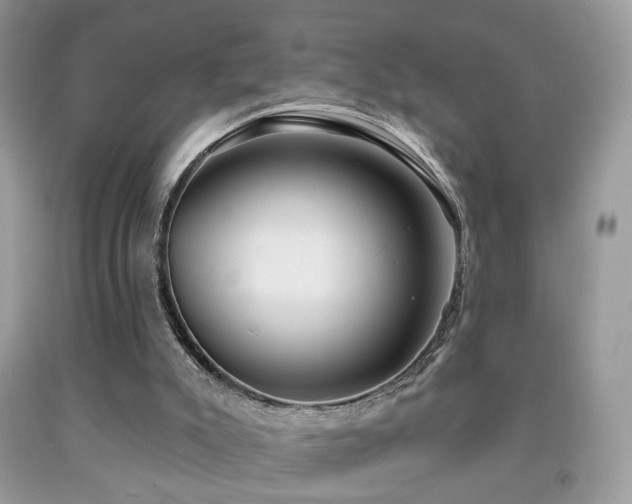 X0000091970007200709061342