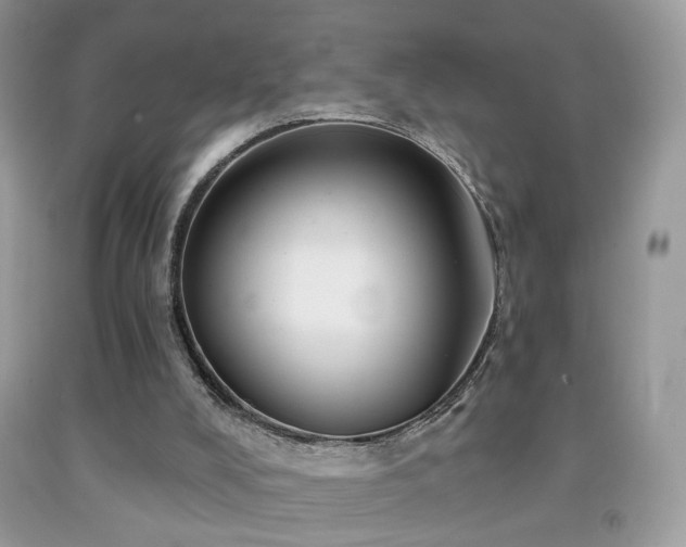 X0000091970008200709061342
