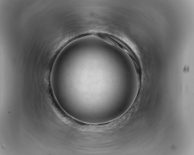 X0000091970009200709061342
