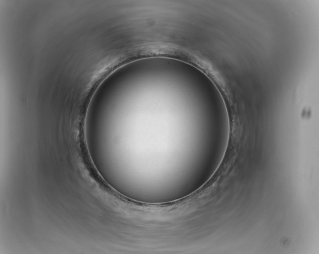 X0000091970010200709061342