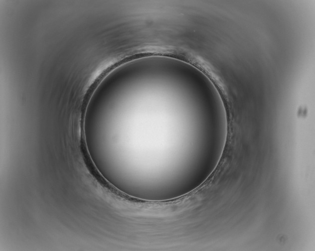 X0000091970011200709061342