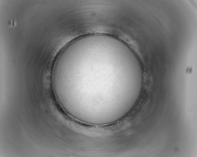 X0000091970012200709061342