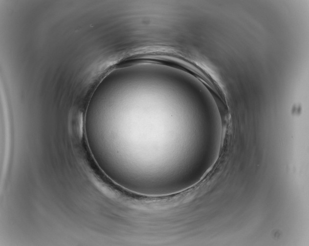 X0000091970013200709061342
