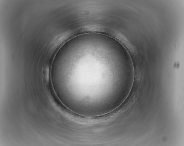 X0000091970014200709061342