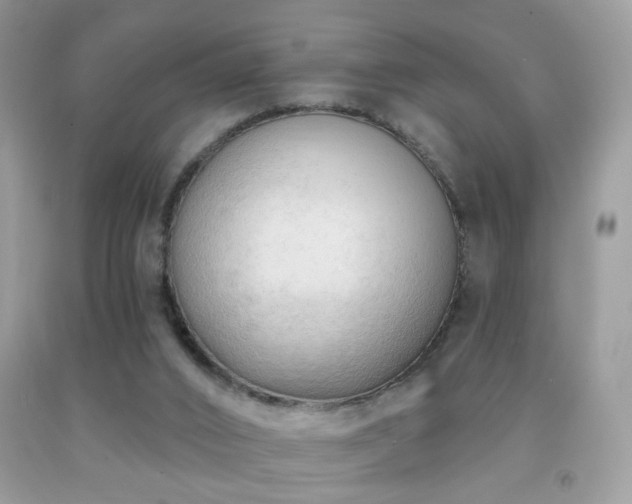 X0000091970016200709061342