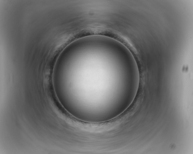 X0000091970018200709061342