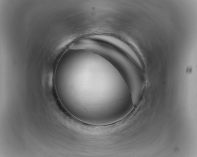 X0000091970019200709061342