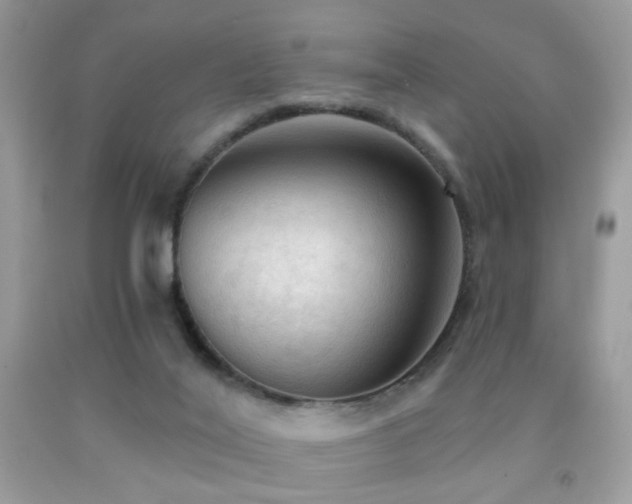 X0000091970020200709061342