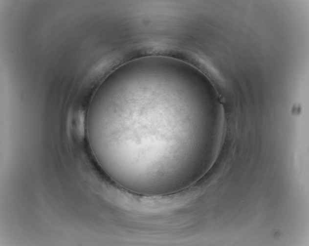 X0000091970022200709061342