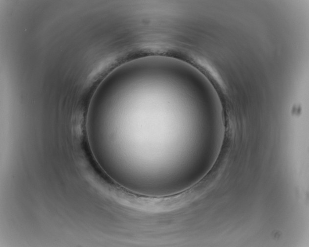 X0000091970023200709061342