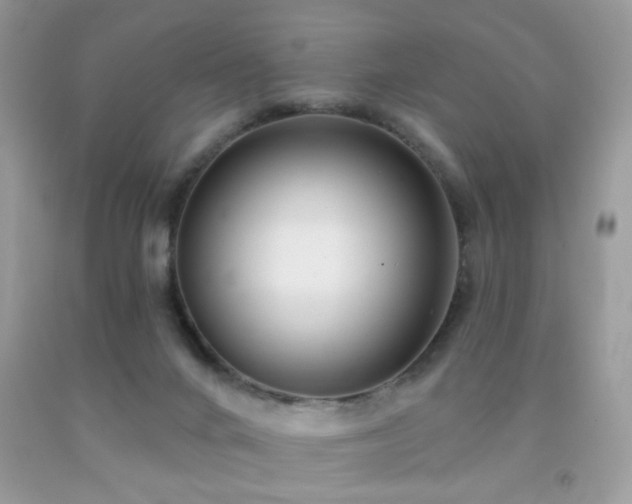 X0000091970024200709061342