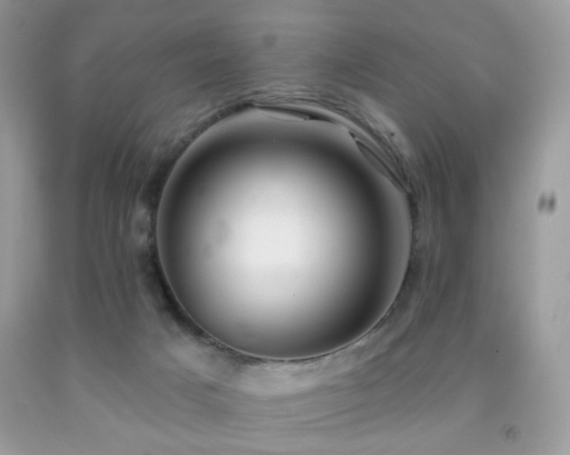 X0000091970025200709061342