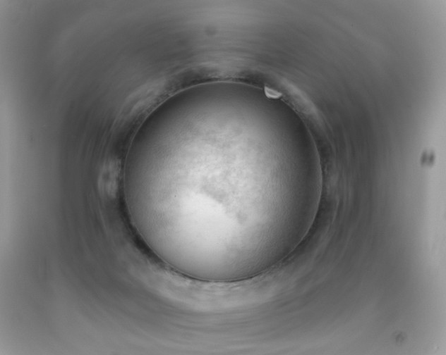 X0000091970026200709061342