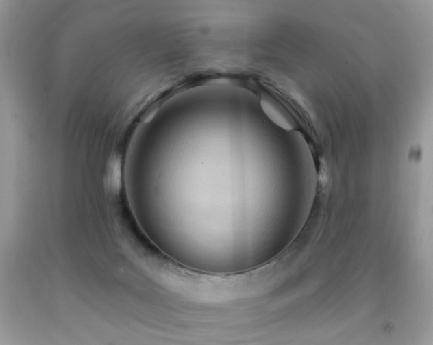 X0000091970027200709061342