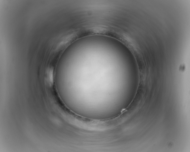 X0000091970028200709061342