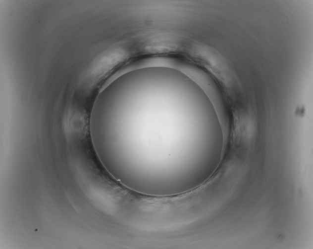 X0000091970029200709061342