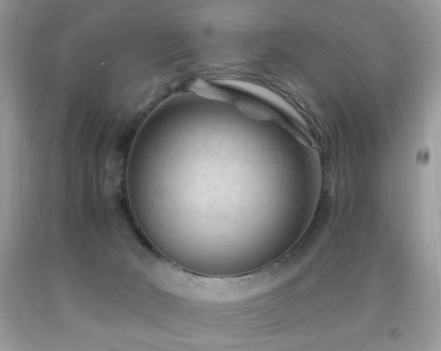 X0000091970030200709061342