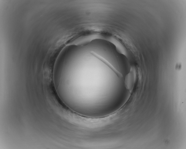X0000091970031200709061342
