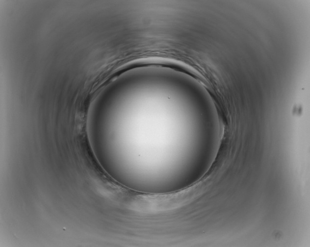 X0000091970033200709061342