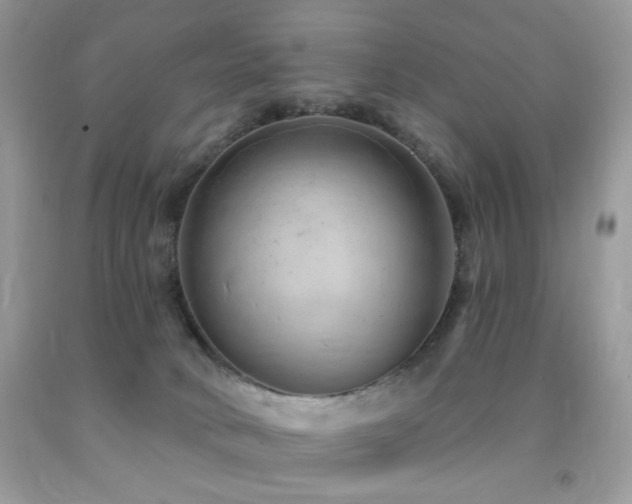 X0000091970034200709061342