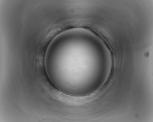 X0000091970035200709061342