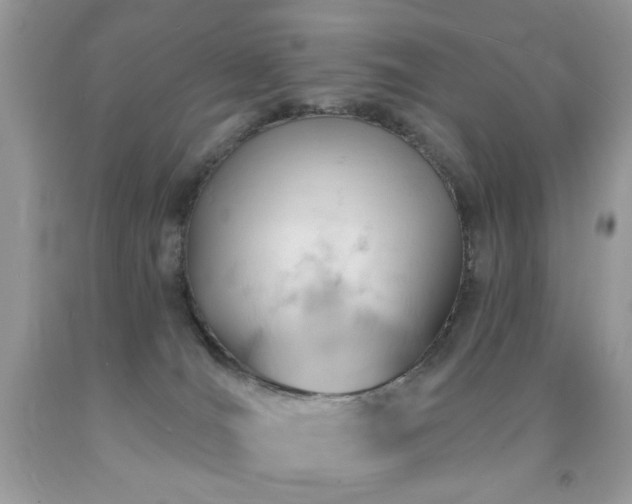 X0000091970036200709061342