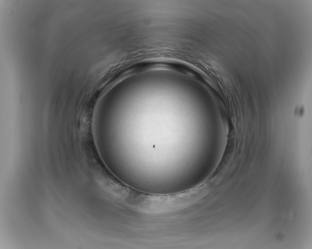 X0000091970037200709061342