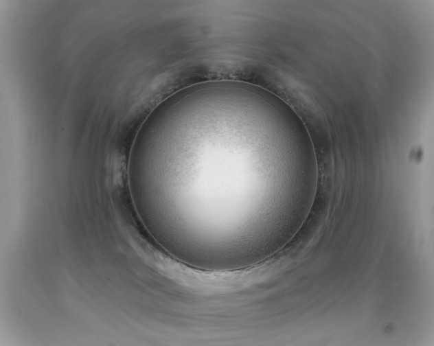 X0000091970038200709061342