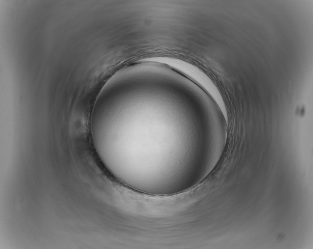 X0000091970039200709061342