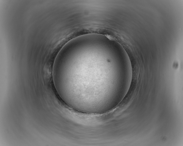 X0000091970040200709061342