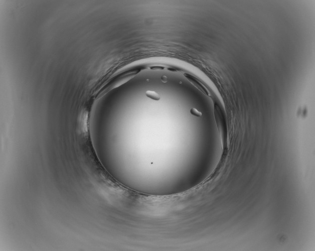 X0000091970041200709061342