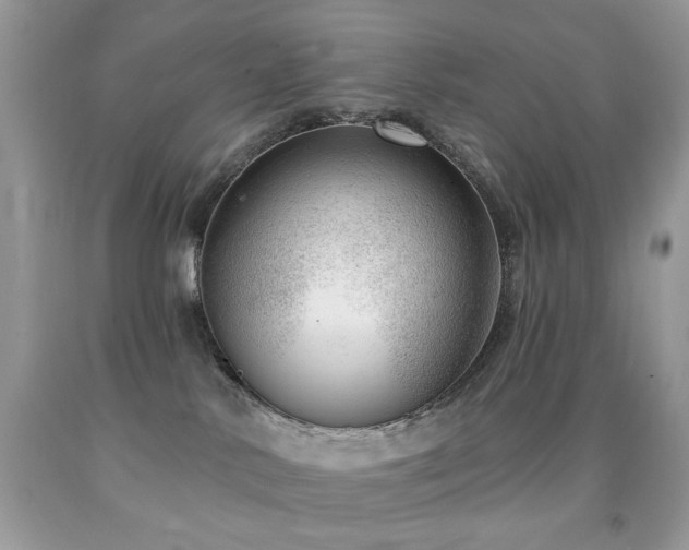 X0000091970042200709061341