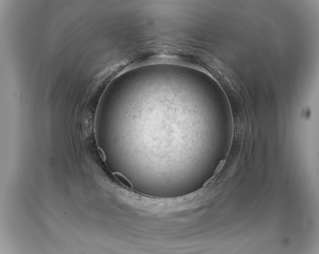 X0000091970043200709061341