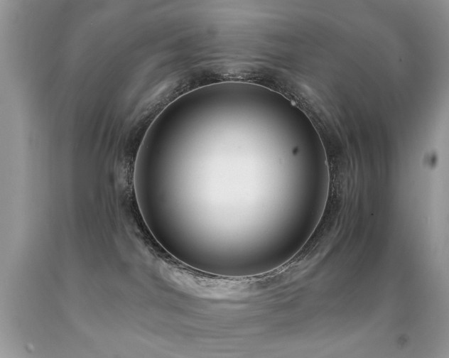 X0000091970044200709061341