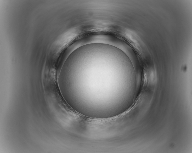 X0000091970045200709061341