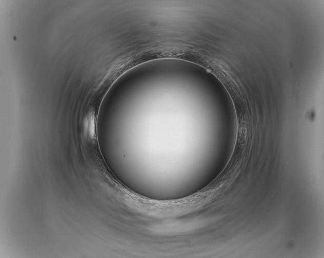 X0000091970046200709061341