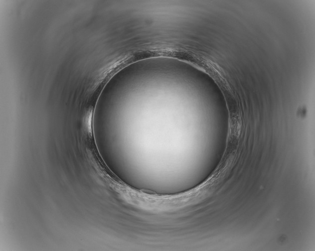 X0000091970047200709061341