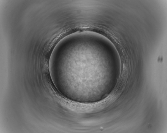 X0000091970048200709061341