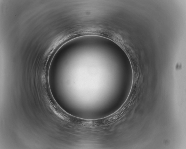 X0000091970050200709061341