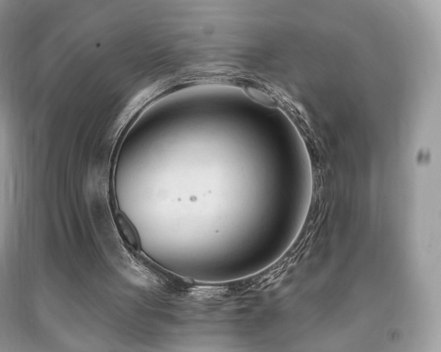 X0000091970051200709061341
