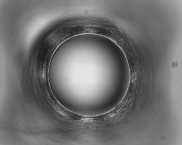 X0000091970052200709061341