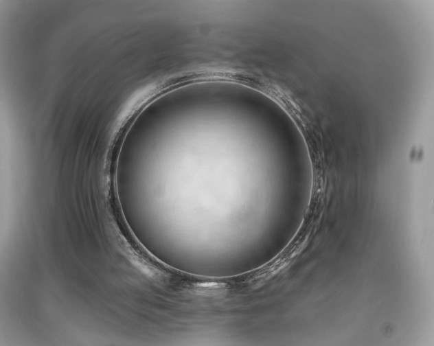 X0000091970053200709061341