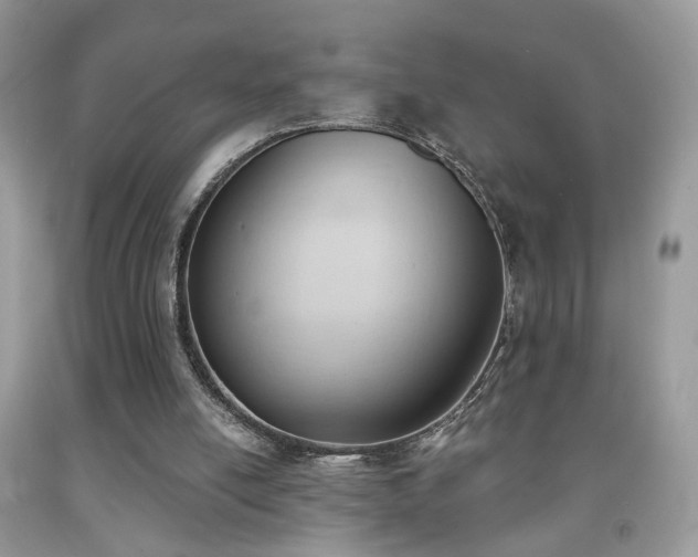 X0000091970054200709061341