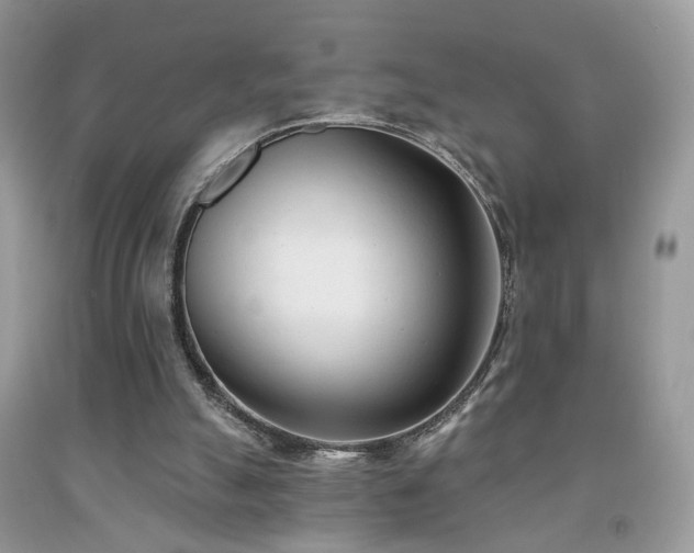 X0000091970055200709061341