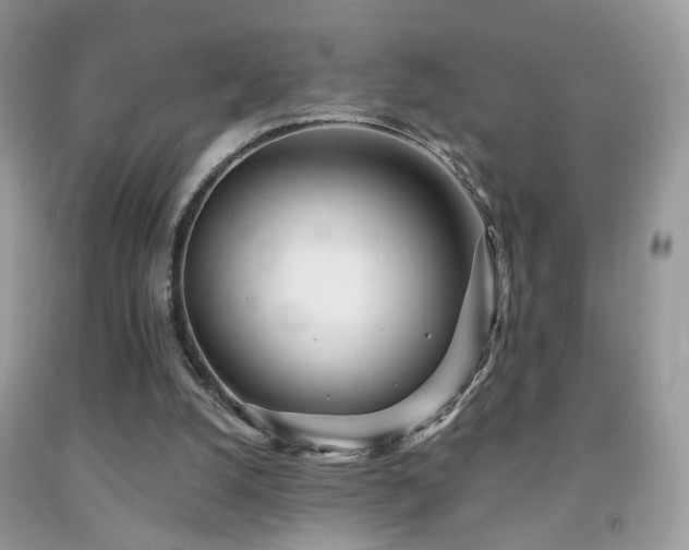 X0000091970056200709061341