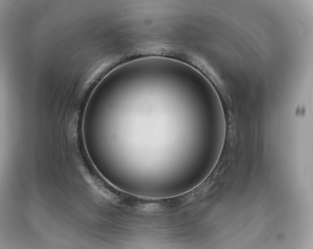 X0000091970058200709061341